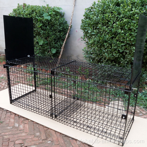 Collapsible Construction Trap Cage Double Door Entry Folding Fox Trap Cage Supplier